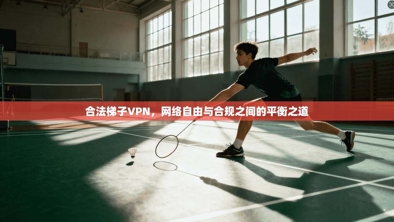 合法梯子VPN，网络自由与合规之间的平衡之道