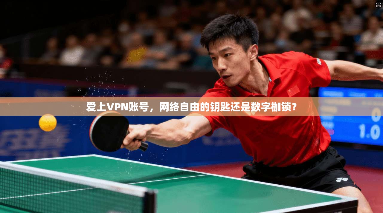 爱上VPN账号，网络自由的钥匙还是数字枷锁？