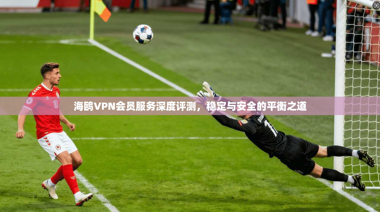 海鸥VPN会员服务深度评测，稳定与安全的平衡之道