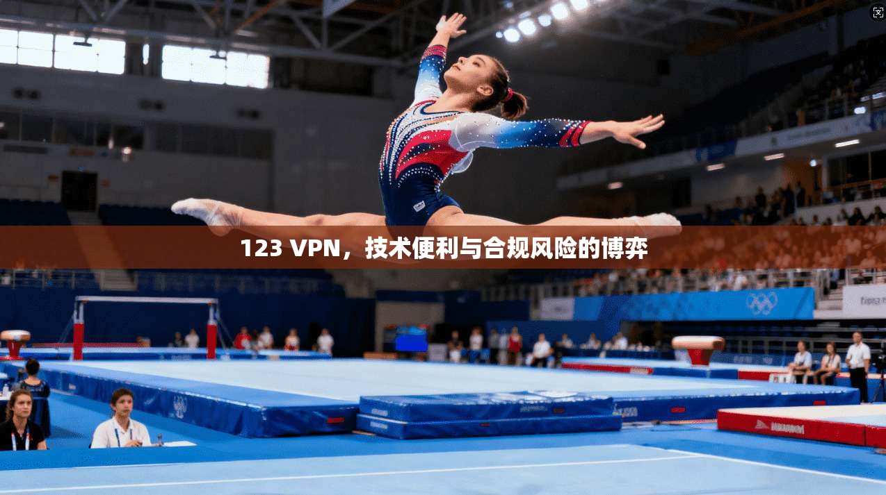 123 VPN，技术便利与合规风险的博弈