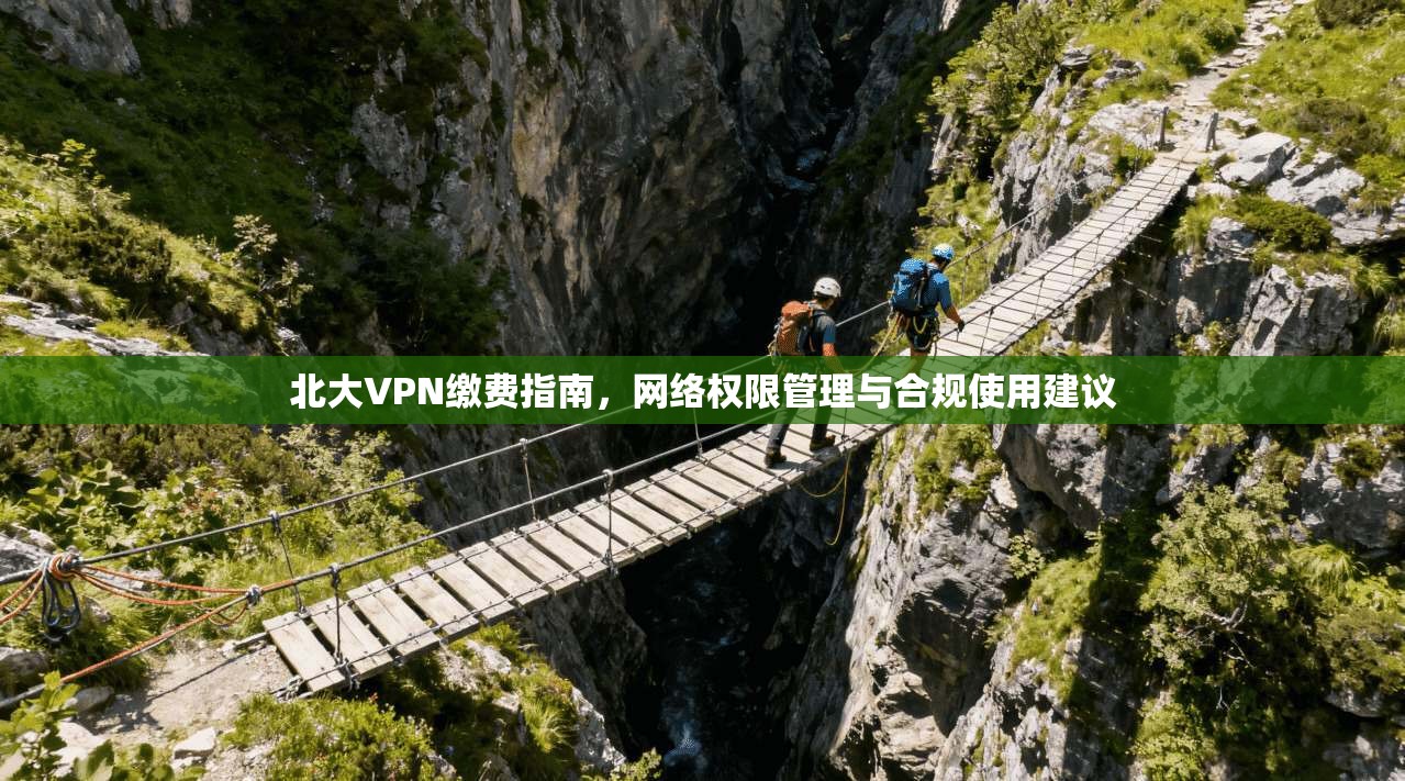 北大VPN缴费指南，网络权限管理与合规使用建议