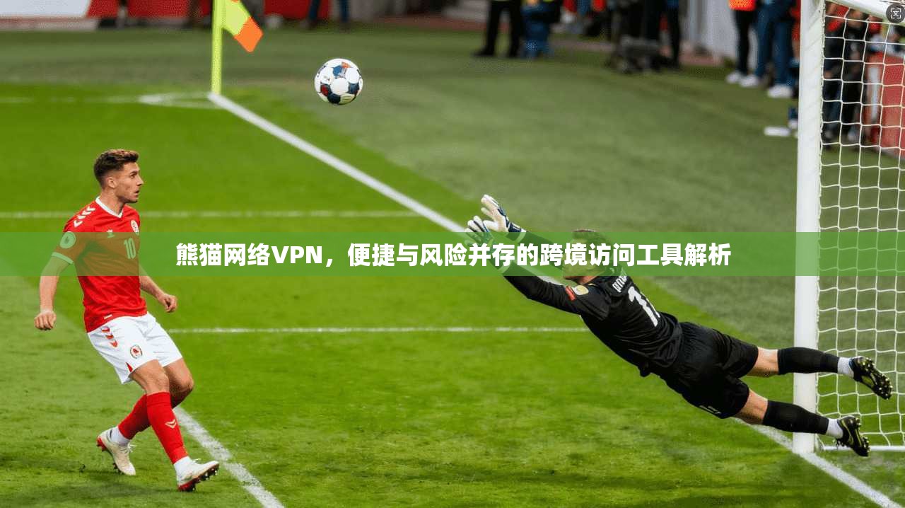 熊猫网络VPN，便捷与风险并存的跨境访问工具解析