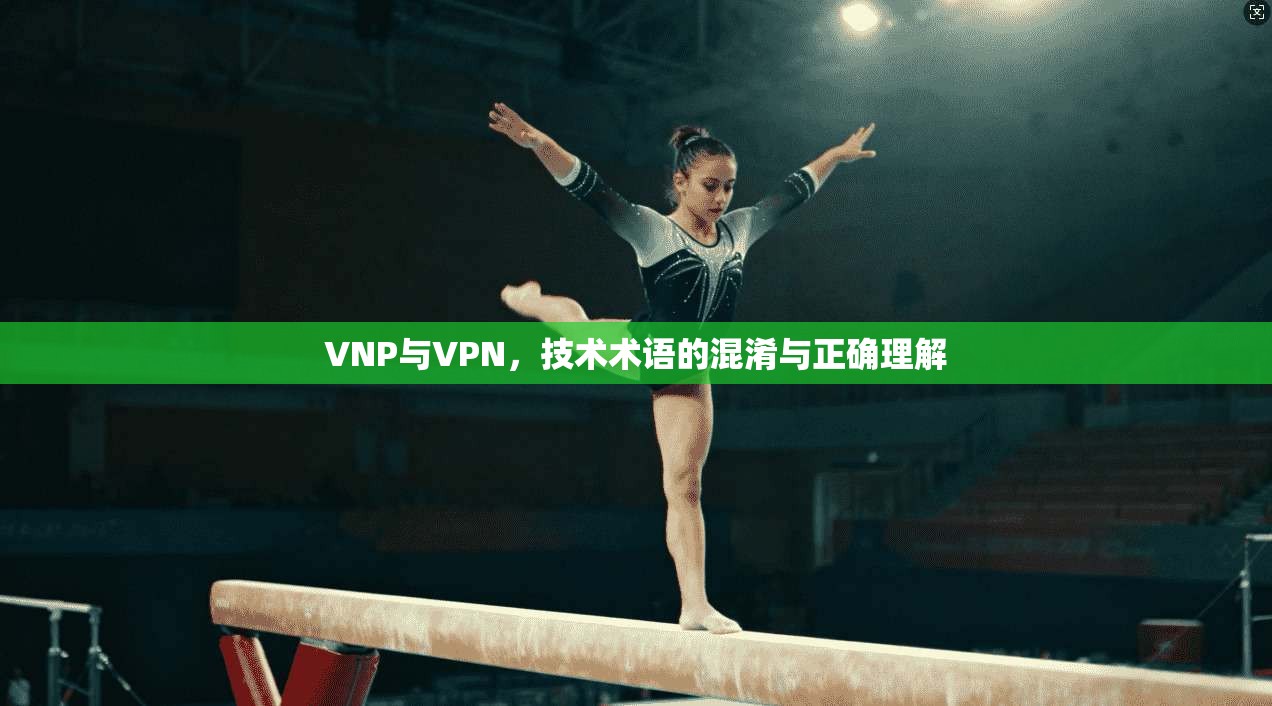 VNP与VPN，技术术语的混淆与正确理解