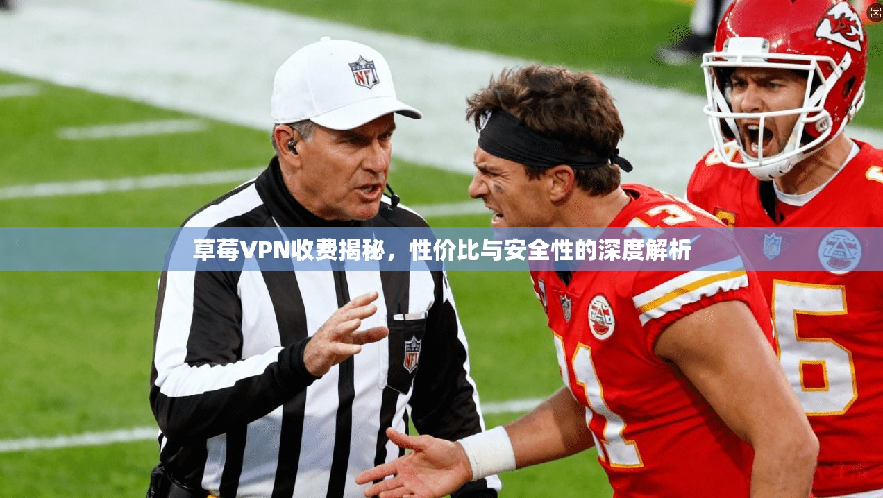 草莓VPN收费揭秘，性价比与安全性的深度解析