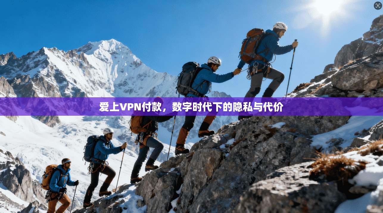爱上VPN付款，数字时代下的隐私与代价
