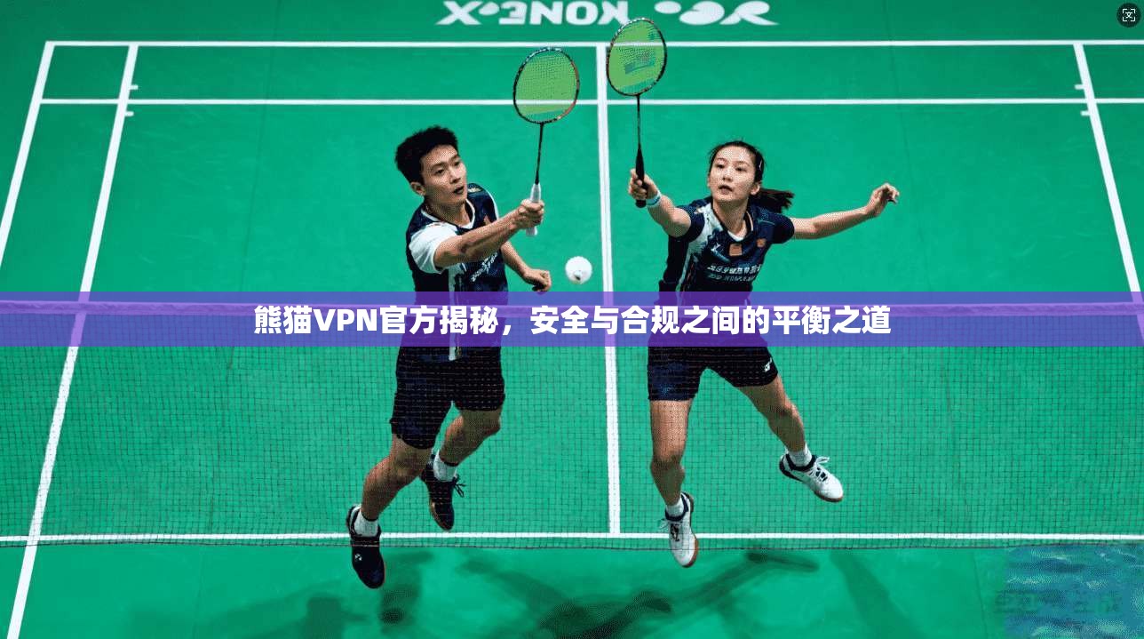 熊猫VPN官方揭秘，安全与合规之间的平衡之道