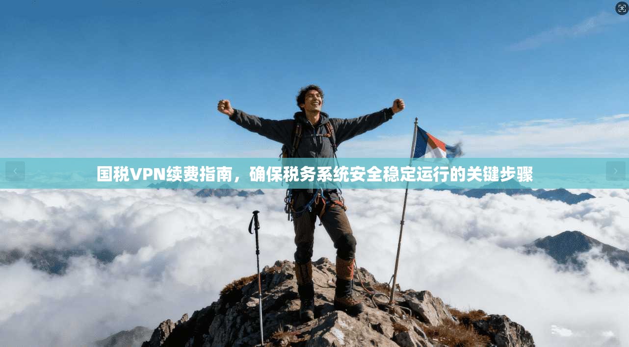 国税VPN续费指南，确保税务系统安全稳定运行的关键步骤