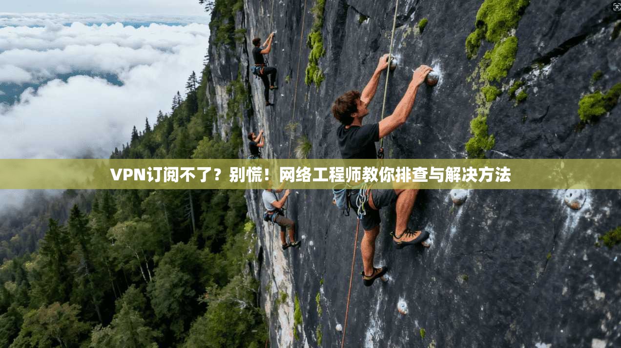 VPN订阅不了？别慌！网络工程师教你排查与解决方法