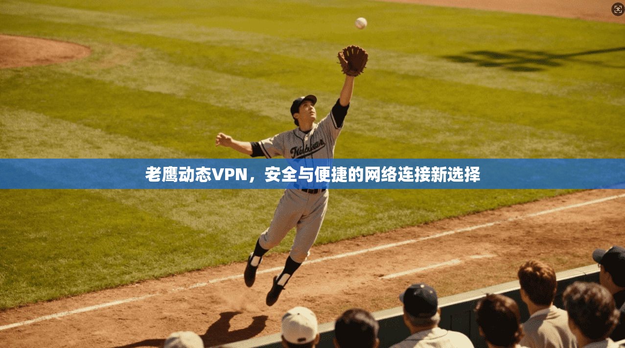 老鹰动态VPN，安全与便捷的网络连接新选择