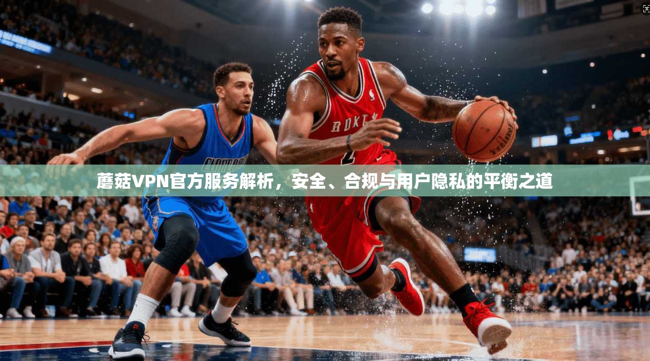 蘑菇VPN官方服务解析，安全、合规与用户隐私的平衡之道