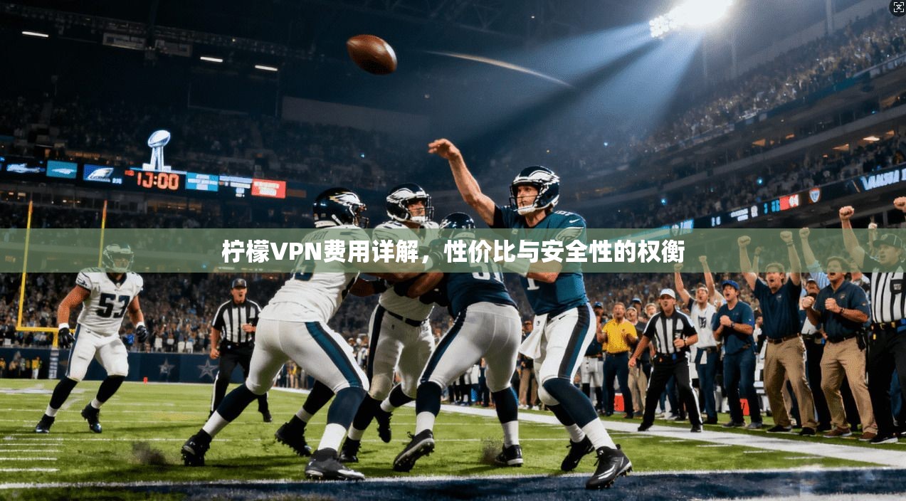 柠檬VPN费用详解，性价比与安全性的权衡