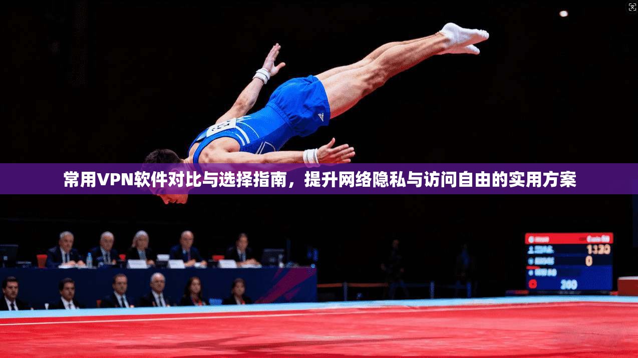 常用VPN软件对比与选择指南,提升网络隐私与访问自由的实用方案 常用VPN软件对比与选择指南,提升网络隐私与访问自由的实用方案