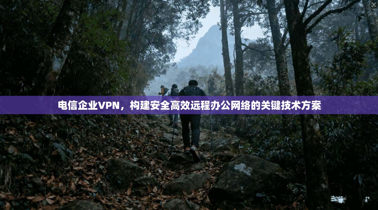 电信企业VPN，构建安全高效远程办公网络的关键技术方案