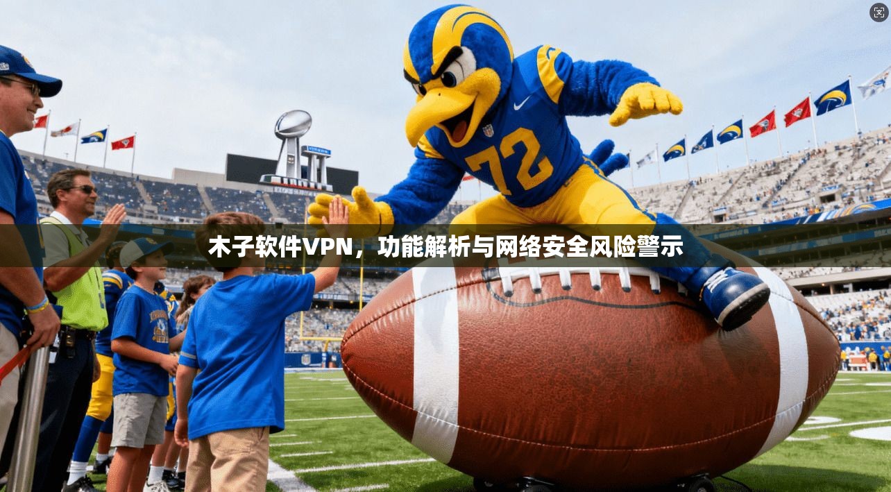木子软件VPN，功能解析与网络安全风险警示