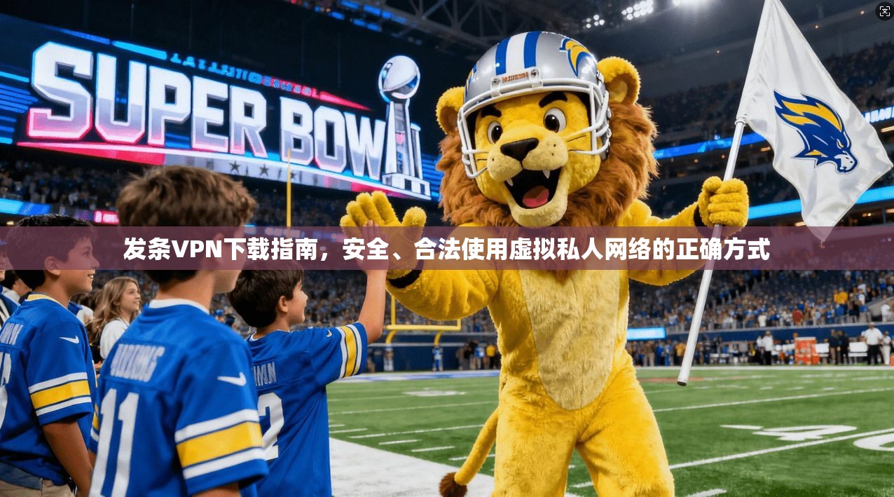 发条VPN下载指南，安全、合法使用虚拟私人网络的正确方式