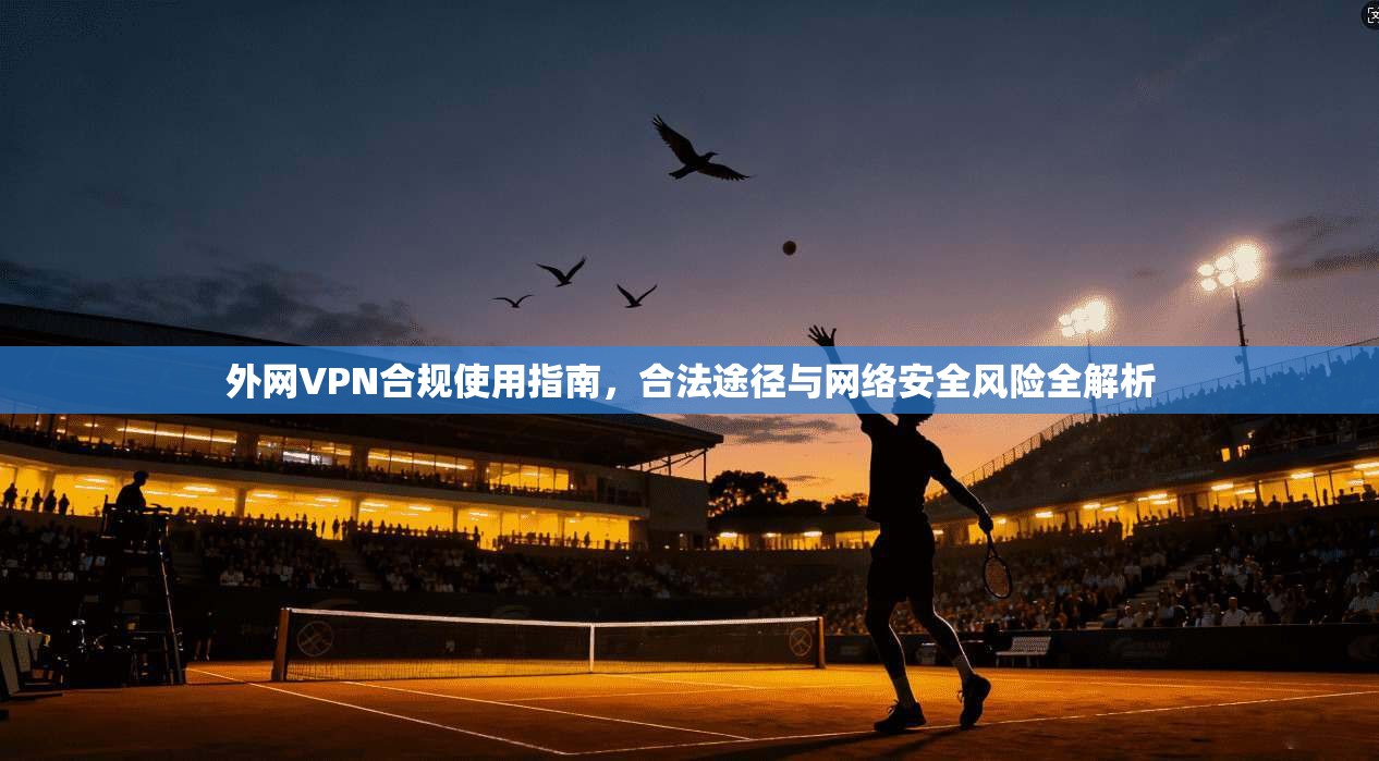 外网VPN合规使用指南，合法途径与网络安全风险全解析
