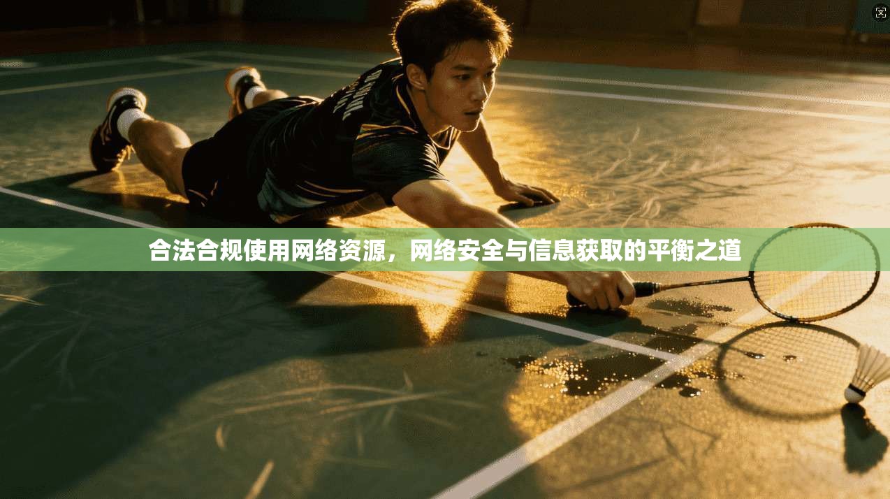 合法合规使用网络资源，网络安全与信息获取的平衡之道