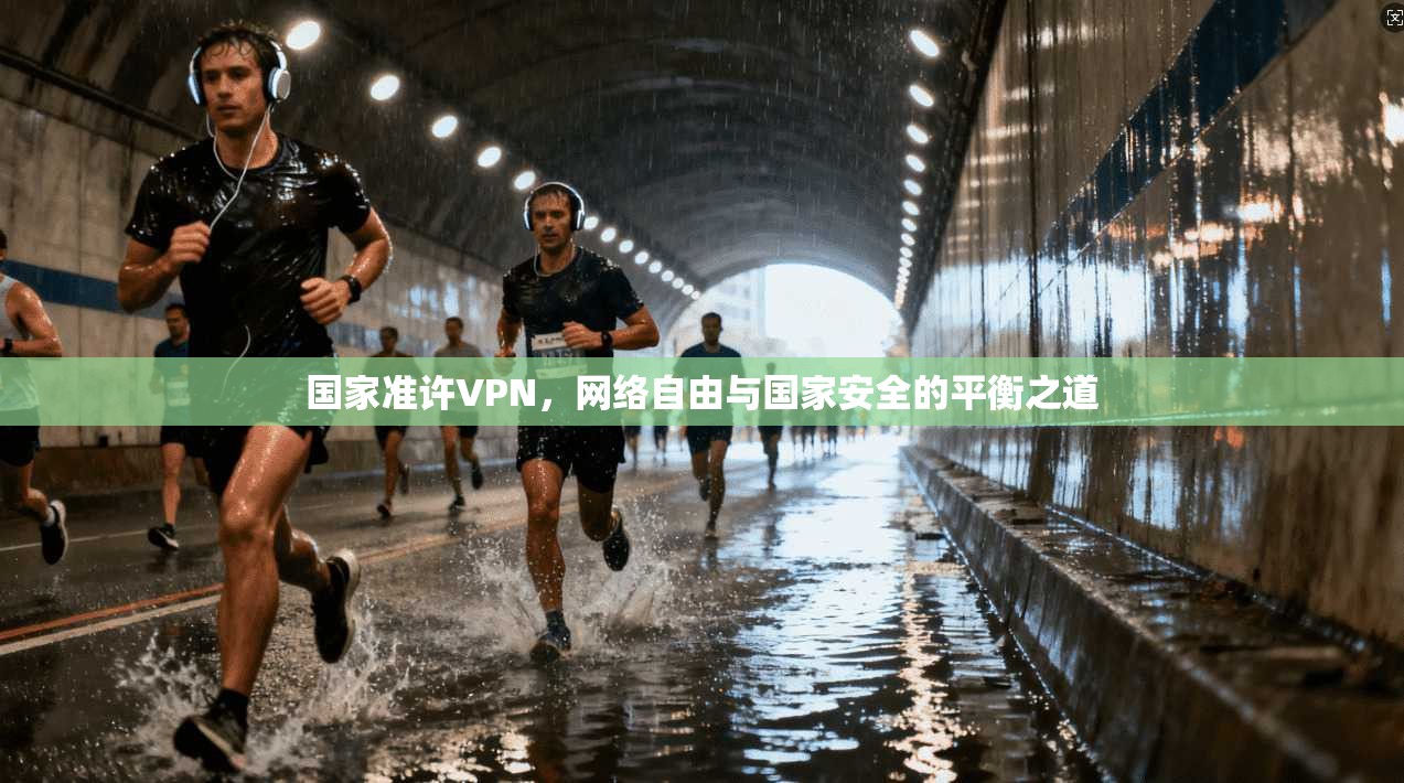 国家准许VPN，网络自由与国家安全的平衡之道