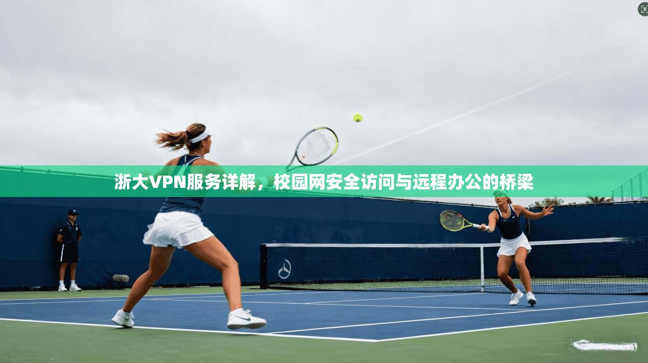 浙大VPN服务详解，校园网安全访问与远程办公的桥梁