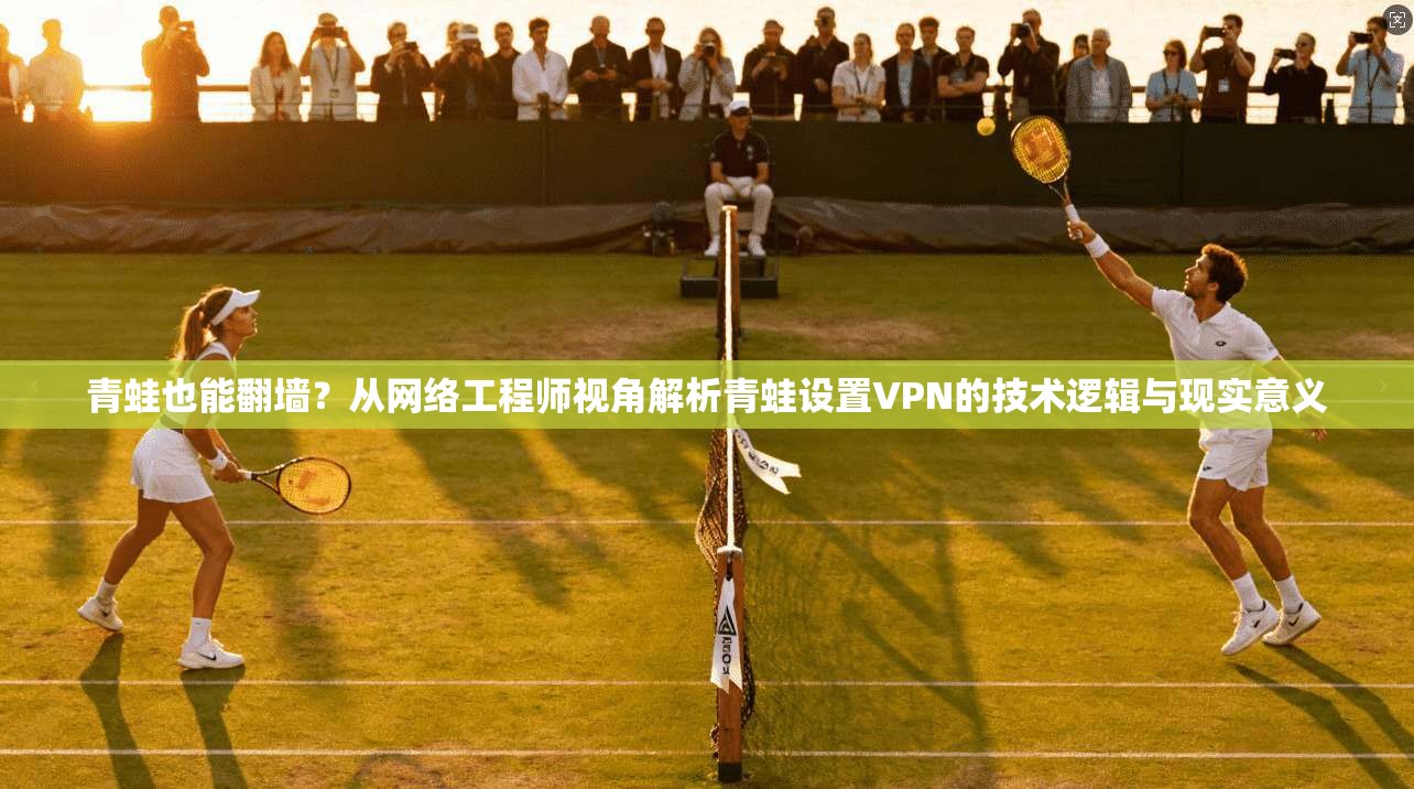 青蛙也能翻墙？从网络工程师视角解析青蛙设置VPN的技术逻辑与现实意义