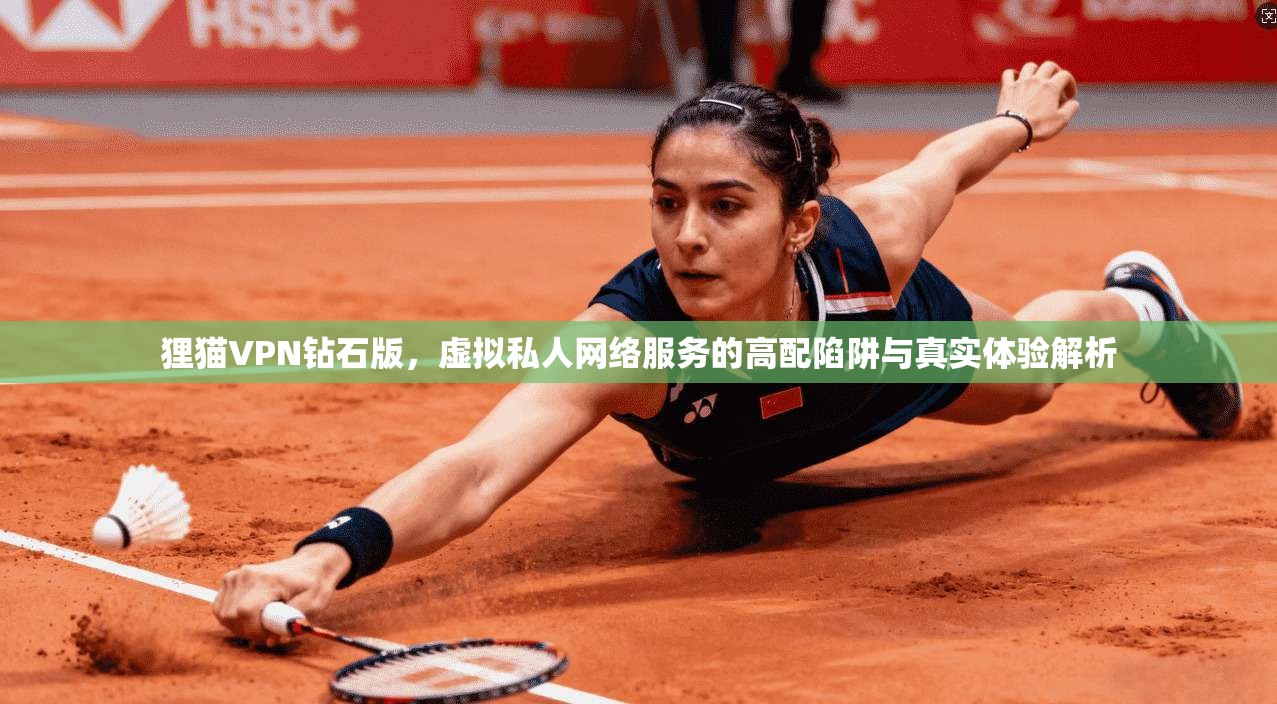 狸猫VPN钻石版，虚拟私人网络服务的高配陷阱与真实体验解析