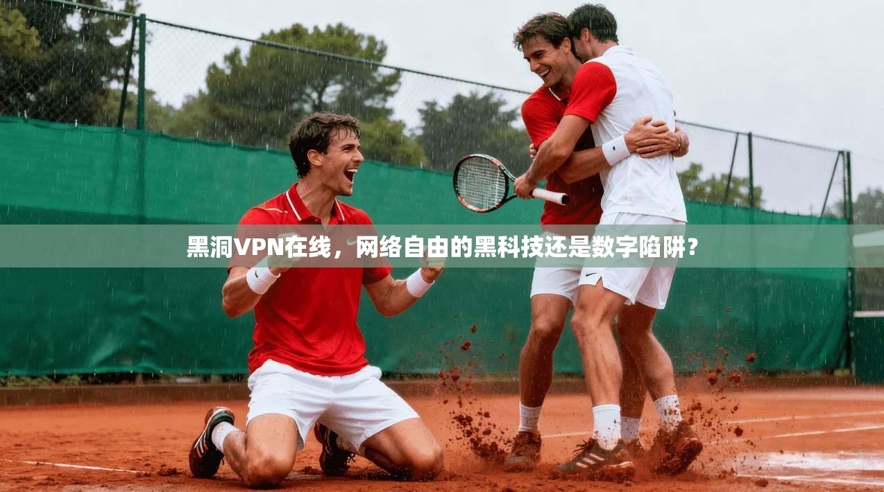 黑洞VPN在线，网络自由的黑科技还是数字陷阱？