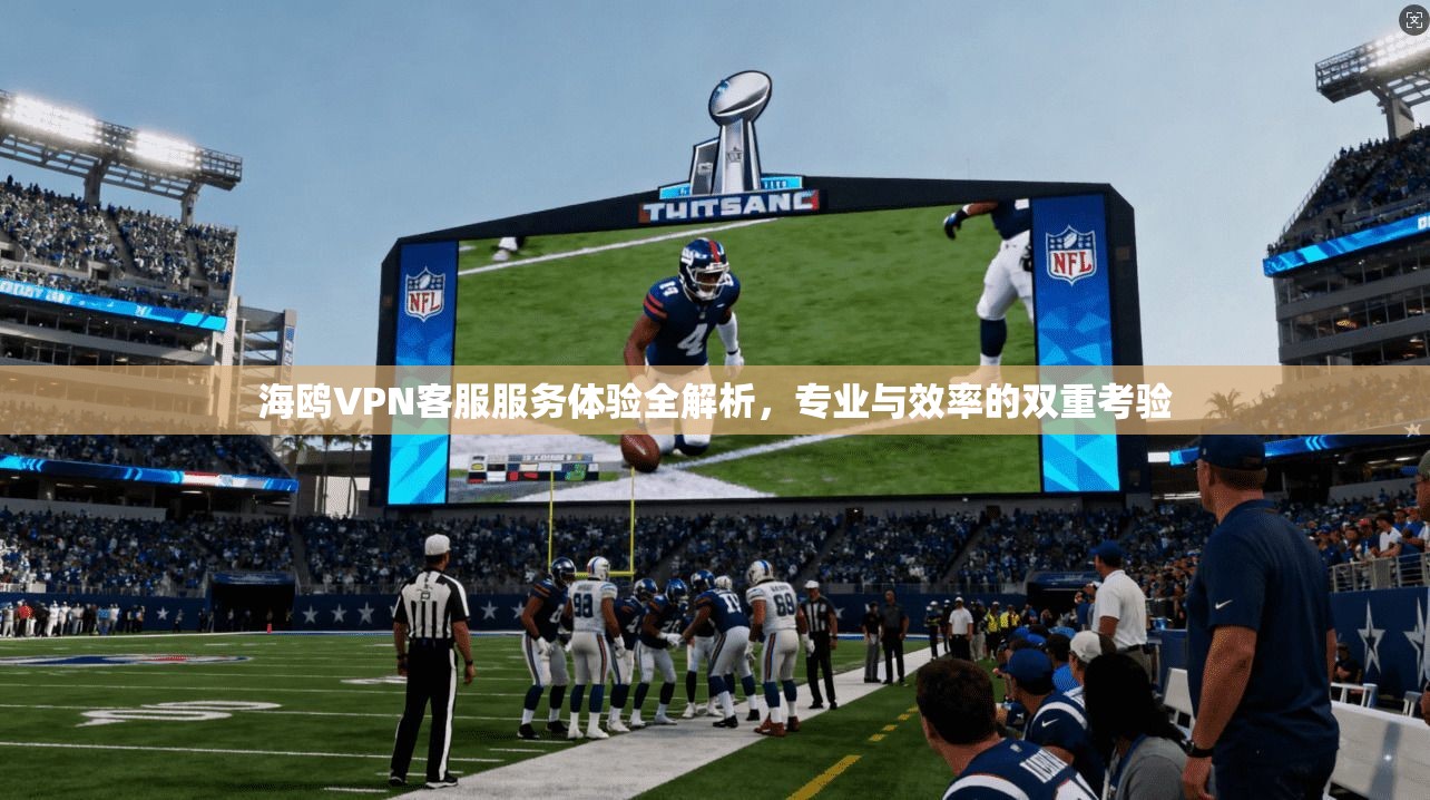 海鸥VPN客服服务体验全解析，专业与效率的双重考验