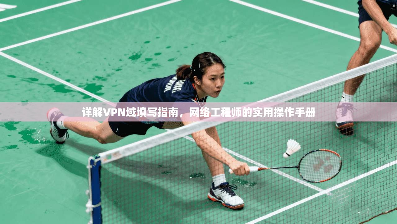 详解VPN域填写指南，网络工程师的实用操作手册