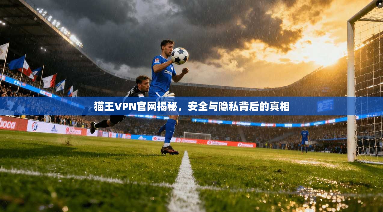 猫王VPN官网揭秘,安全与隐私背后的真相 猫王VPN官网揭秘,安全与隐私背后的真相