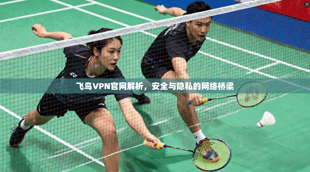 飞鸟VPN官网解析，安全与隐私的网络桥梁