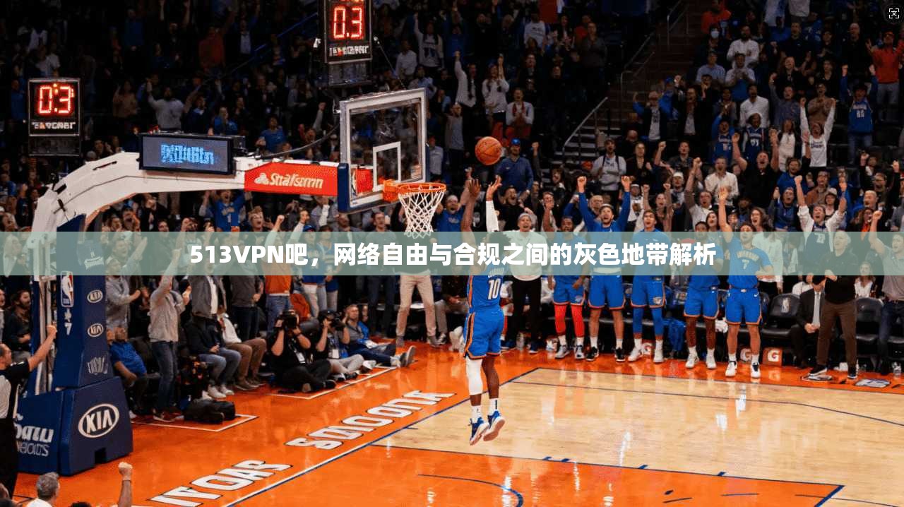 513VPN吧，网络自由与合规之间的灰色地带解析