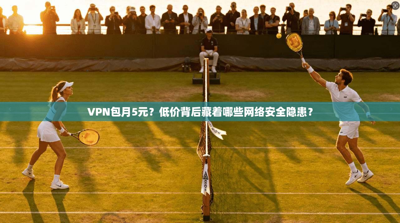 VPN包月5元?低价背后藏着哪些网络安全隐患? VPN包月5元?低价背后藏着哪些网络安全隐患?