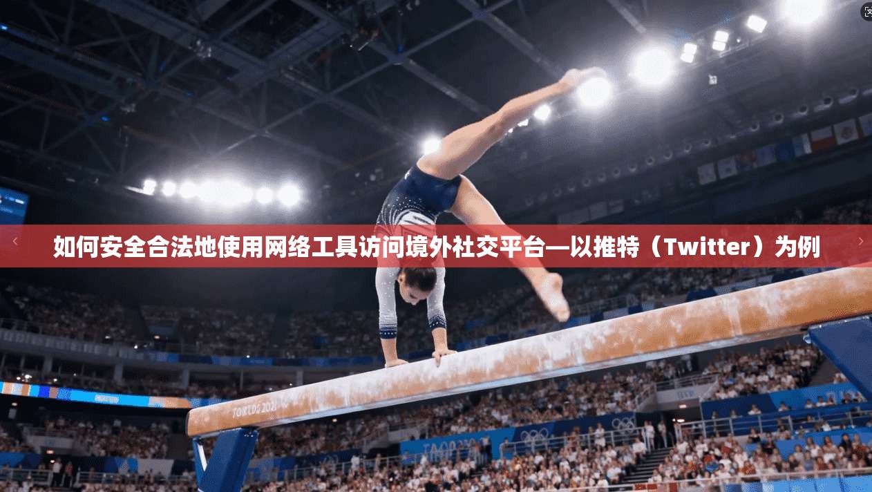如何安全合法地使用网络工具访问境外社交平台—以推特(Twitter)为例 如何安全合法地使用网络工具访问境外社交平台—以推特(Twitter)为例