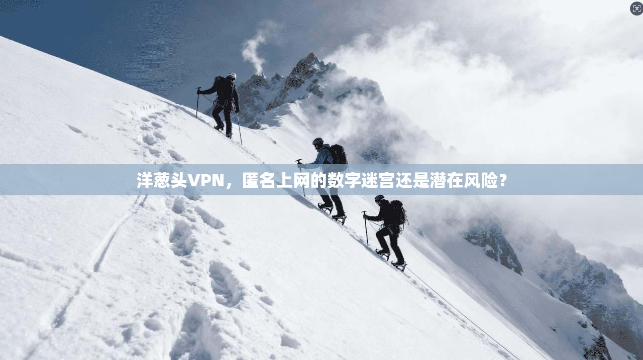 洋葱头VPN，匿名上网的数字迷宫还是潜在风险？