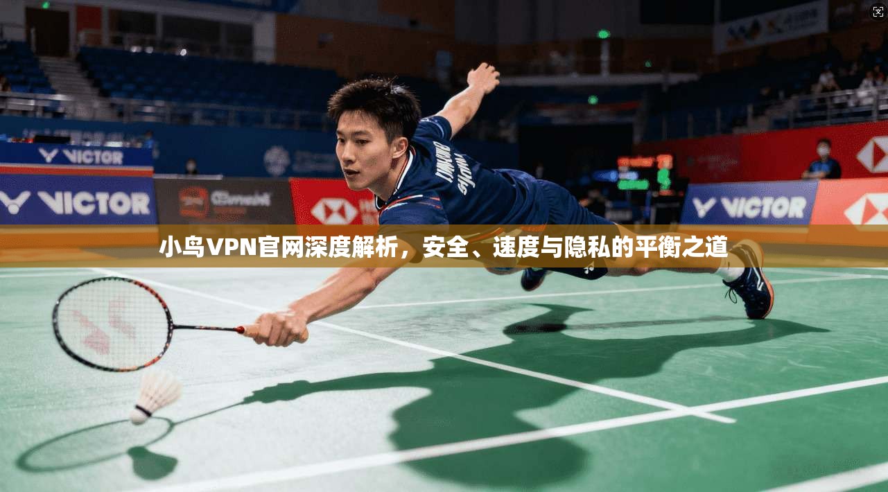 小鸟VPN官网深度解析，安全、速度与隐私的平衡之道