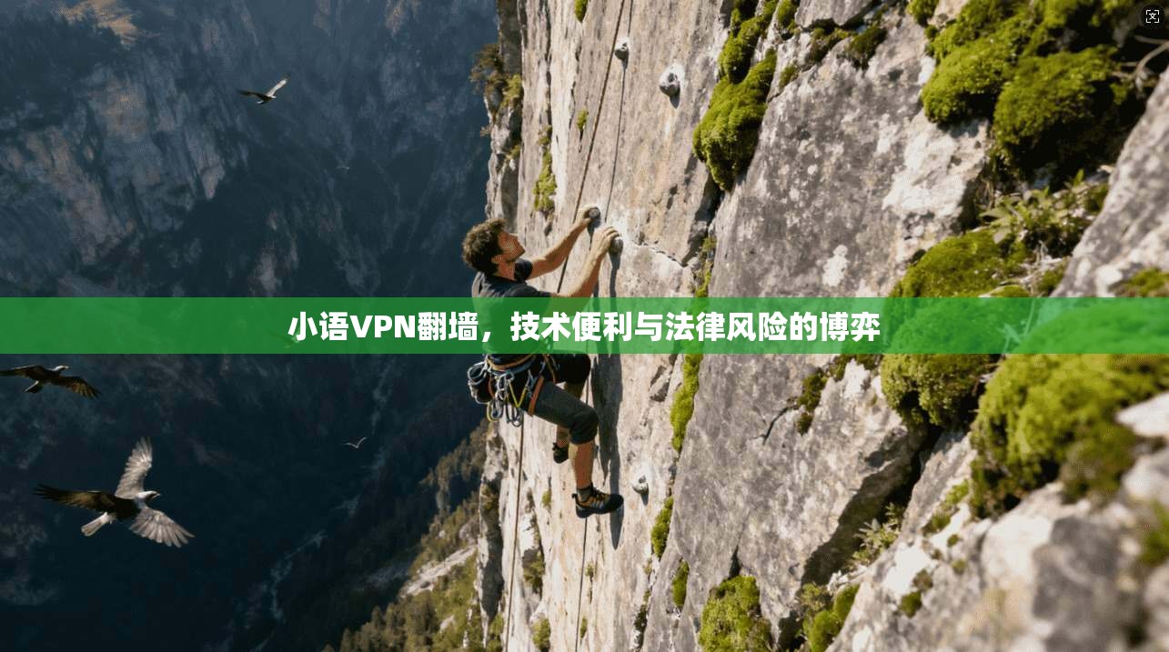小语VPN翻墙，技术便利与法律风险的博弈