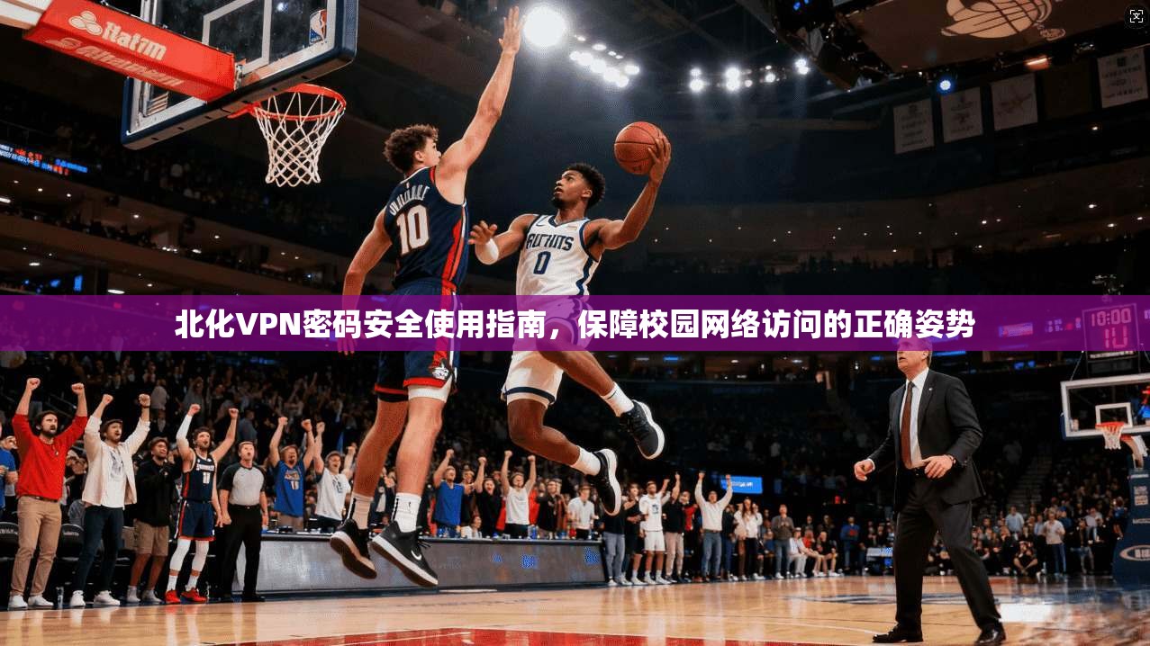 北化VPN密码安全使用指南，保障校园网络访问的正确姿势