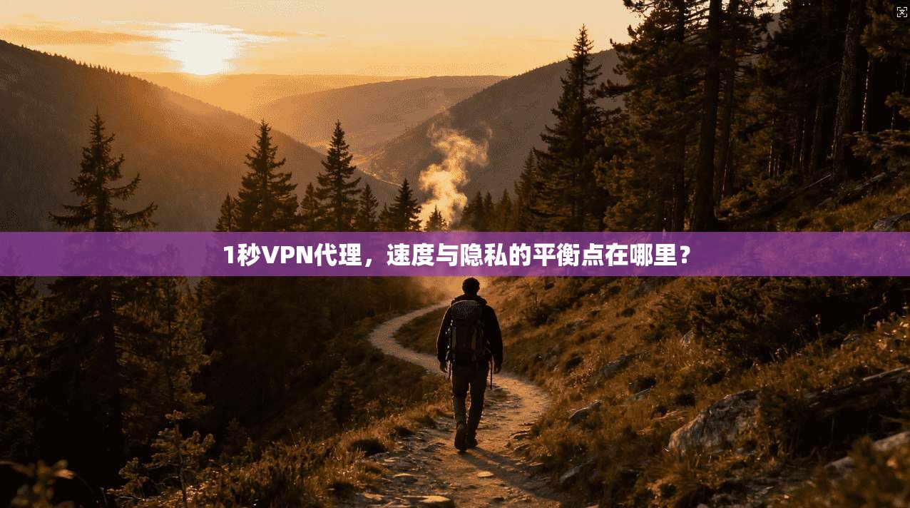 1秒VPN代理，速度与隐私的平衡点在哪里？