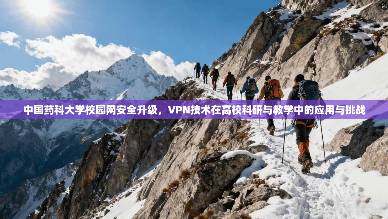 中国药科大学校园网安全升级，VPN技术在高校科研与教学中的应用与挑战