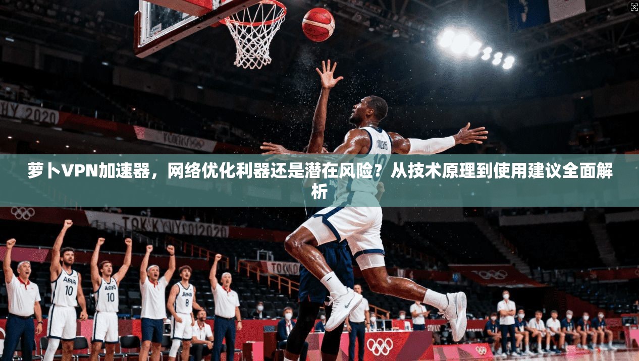 萝卜VPN加速器，网络优化利器还是潜在风险？从技术原理到使用建议全面解析