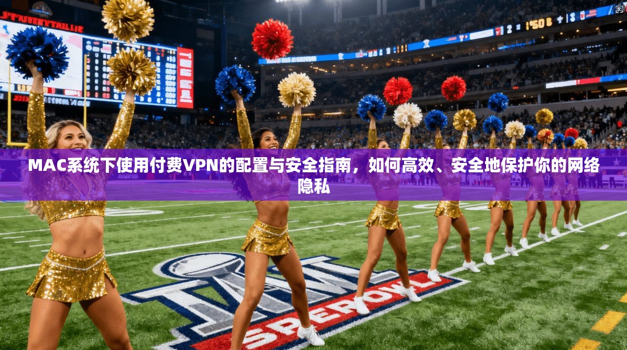 MAC系统下使用付费VPN的配置与安全指南，如何高效、安全地保护你的网络隐私
