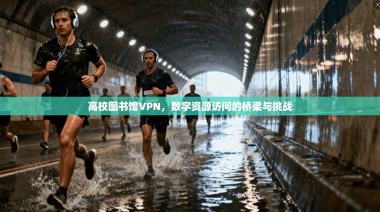 高校图书馆VPN，数字资源访问的桥梁与挑战