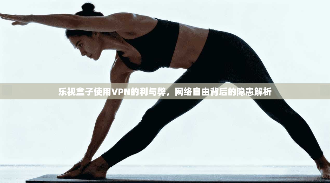 乐视盒子使用VPN的利与弊，网络自由背后的隐患解析