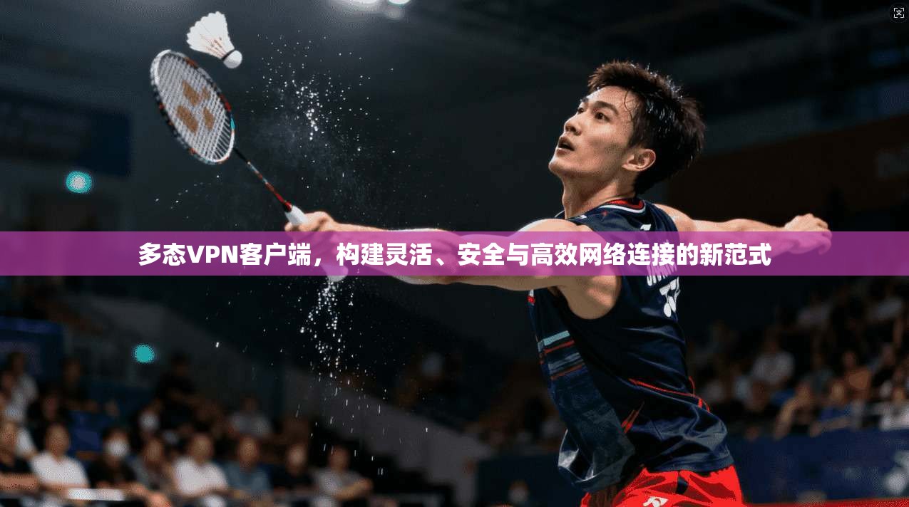多态VPN客户端，构建灵活、安全与高效网络连接的新范式