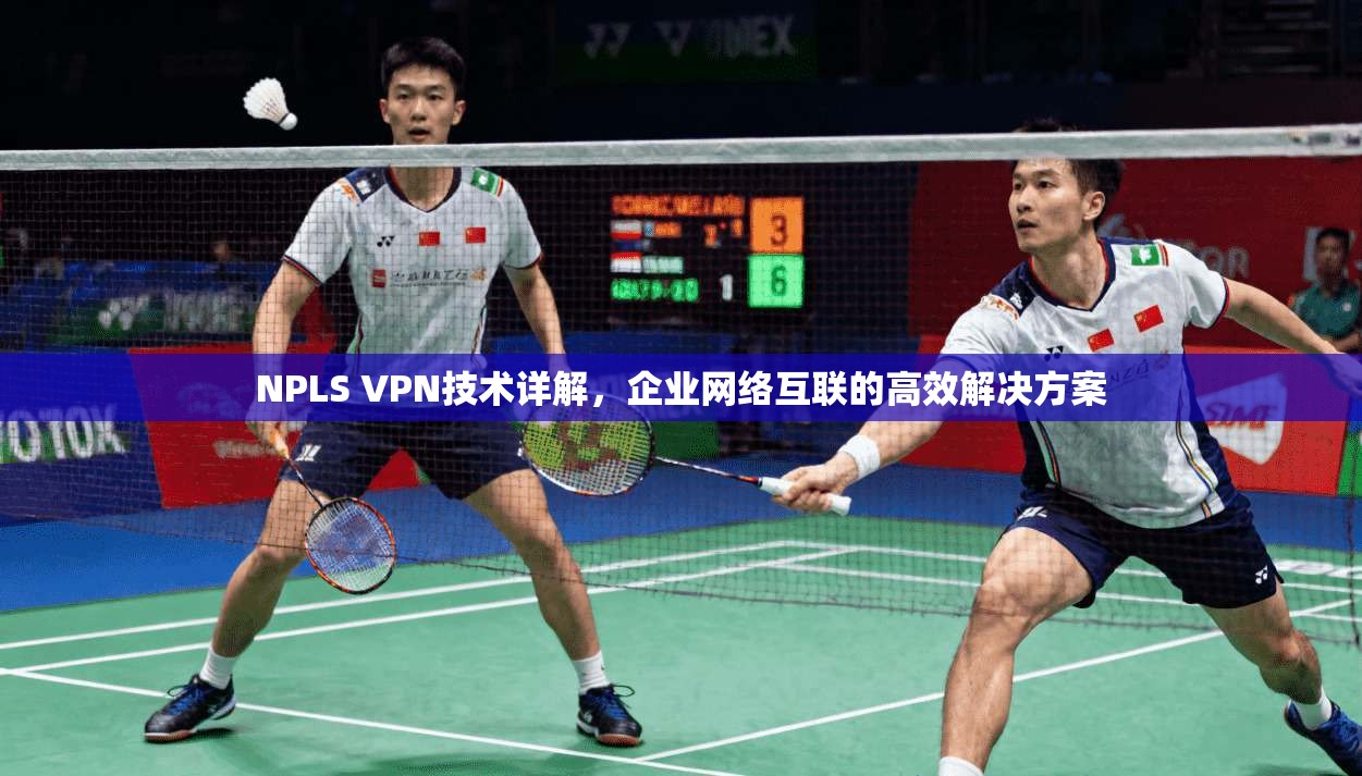 NPLS VPN技术详解，企业网络互联的高效解决方案