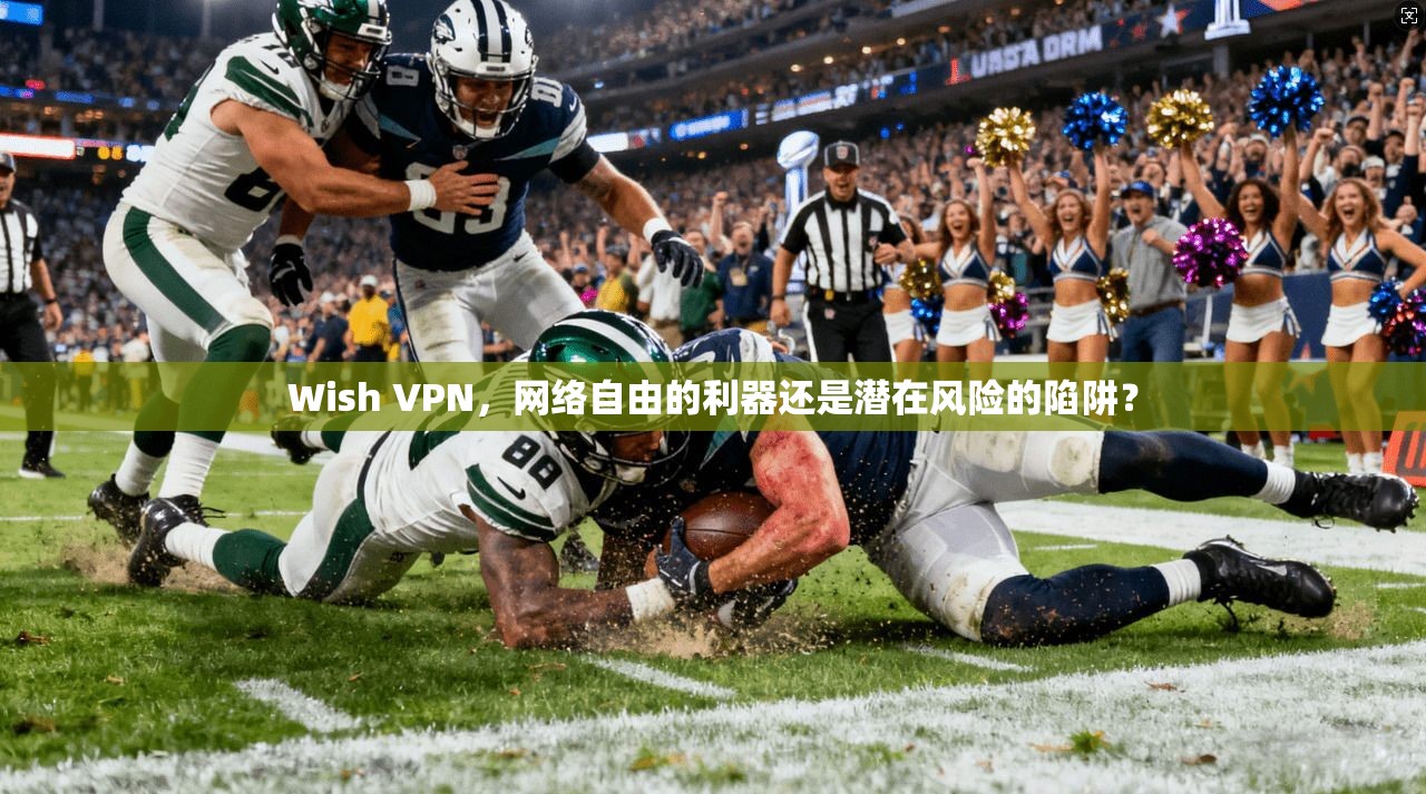 Wish VPN，网络自由的利器还是潜在风险的陷阱？