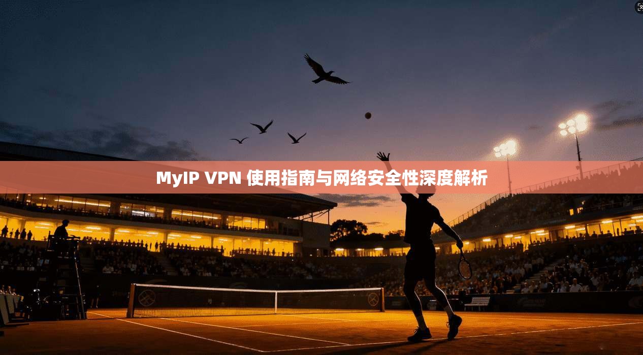 MyIP VPN 使用指南与网络安全性深度解析