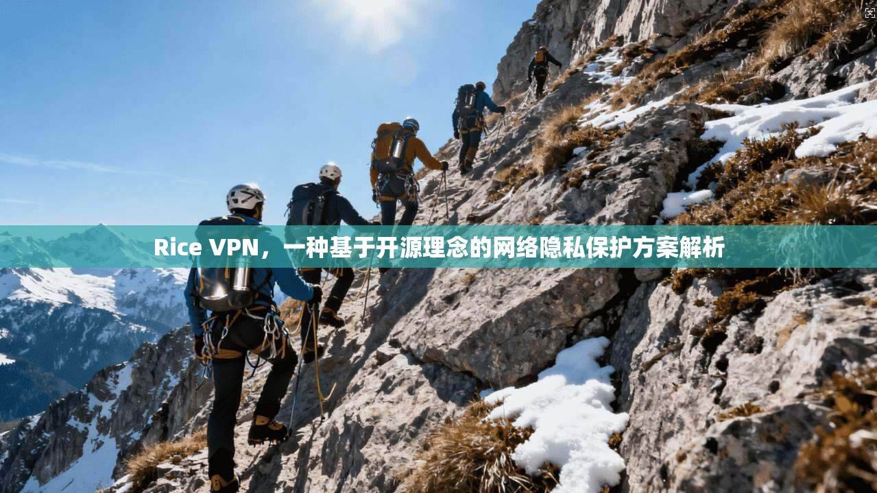 Rice VPN，一种基于开源理念的网络隐私保护方案解析