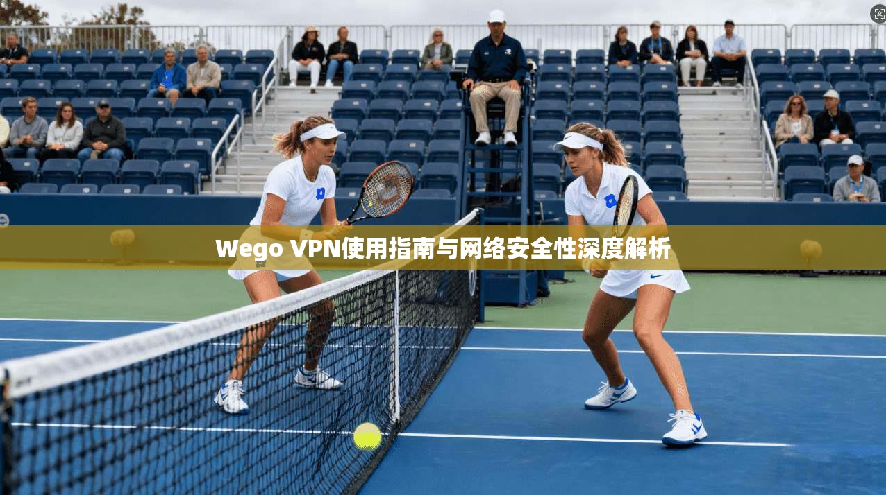 Wego VPN使用指南与网络安全性深度解析