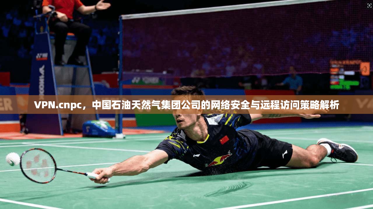 VPN.cnpc，中国石油天然气集团公司的网络安全与远程访问策略解析